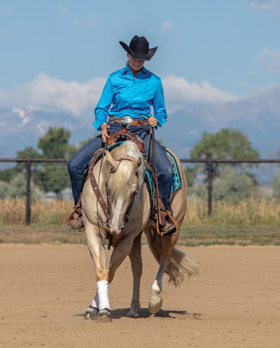 Reining Spin