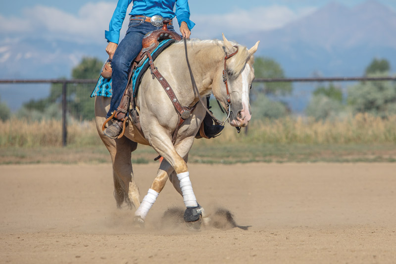 Reining Spin