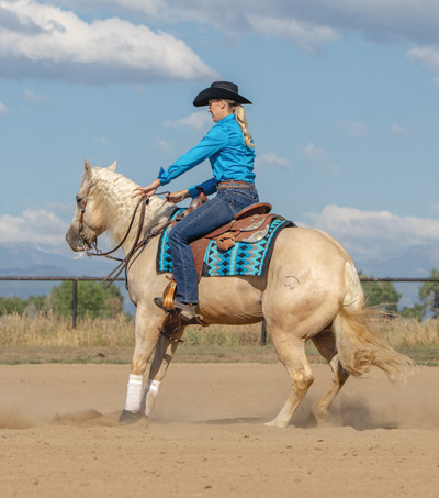 Reining Horse