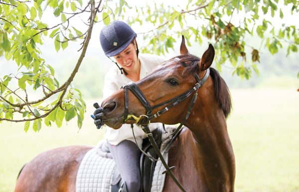 Rider giving horse treats.