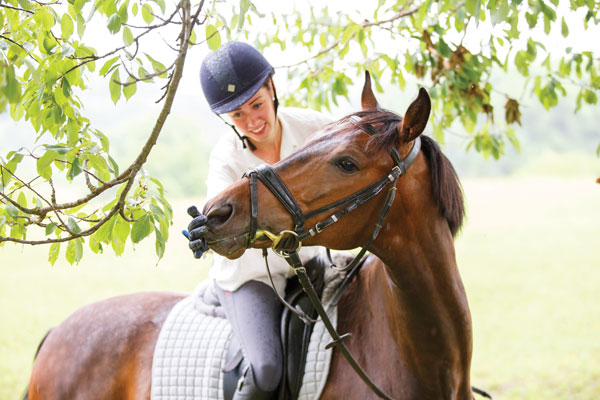 Rider giving horse treats.