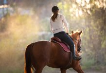 COVID-19 survey results show a reduction in riding.