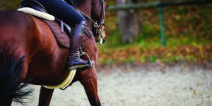 Horse with rider. Close up of stirrup.