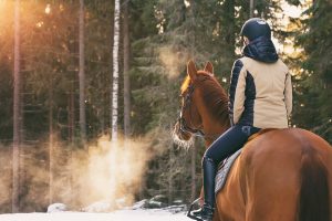 How Cold Is Too Cold To Ride Horses?