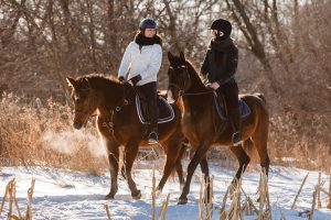 Horseback Riding in the Snow During Winter