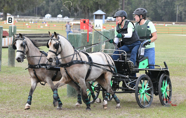 Roberto Greeno and Her Shetlands