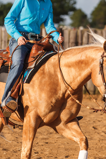 Romal Reins