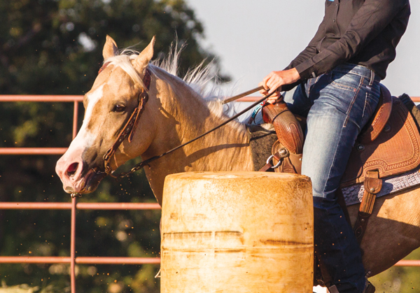 Roping Reins