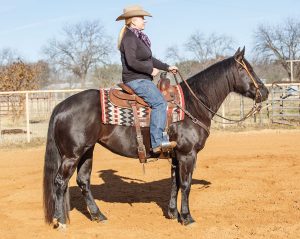 Stirrups too long on Western Saddle