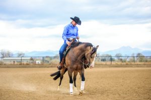 Schwartzenberger uses rein to help horse understand intentions in riding arena.