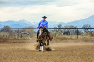 Schwartzenberger rounds the circle in the riding arena. 