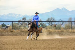 Learning the Circle Slow-Down in the Reining Arena