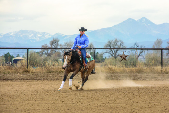 Schwartzenberger rounds the reining arena.