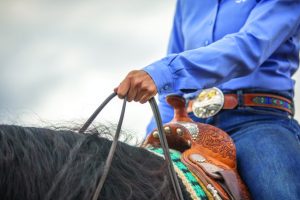 Schwartzenberger demonstrated hand motions in the reining arena.