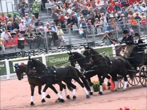 A repeat victory for Australia’s Boyd Exell in World Equestrian Games driving