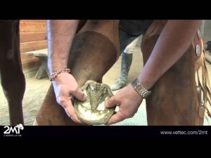 Video: Under Run Heels