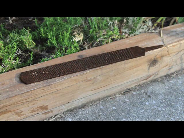 Video: How to Pull a Loose Horse Shoe