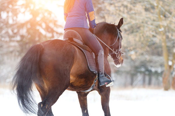 Riding horse in winter.