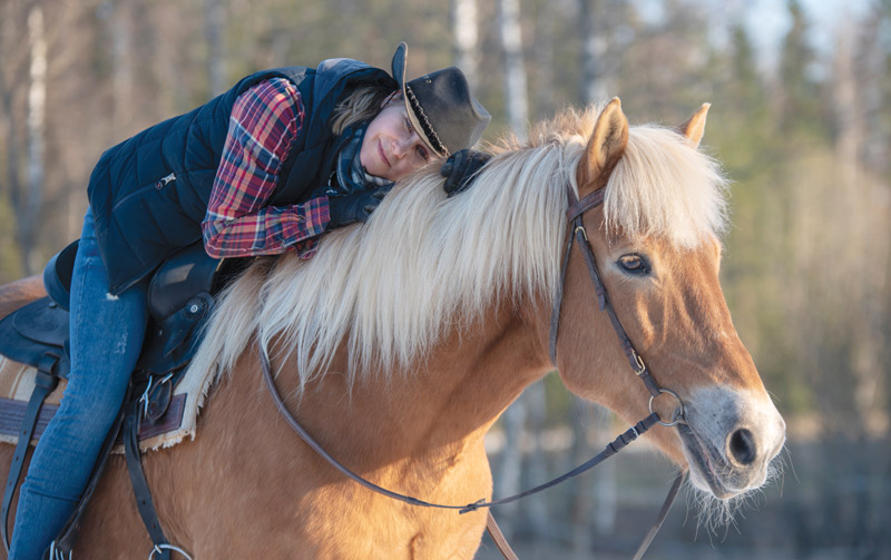 Training Older Horse