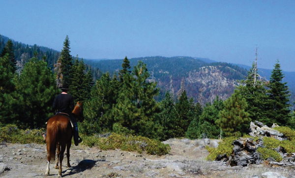 Sequoia National Park and Kings Canyon