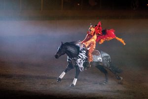 Horse and rider performing freestyle routine.