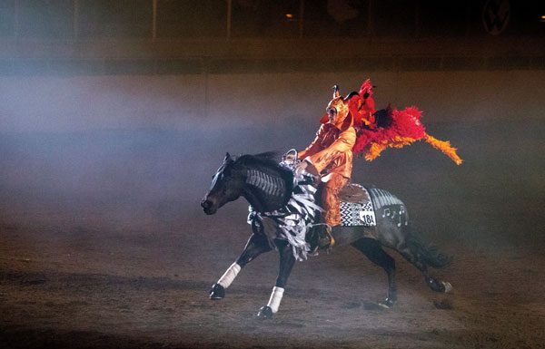 Horse and rider performing freestyle routine.