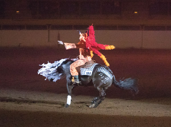 Horse and rider performing in costume. 