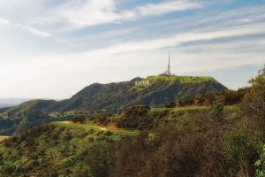 View of Hollywood hills.