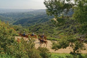 Horses on trail to Hollywood sign in Los Angeles.