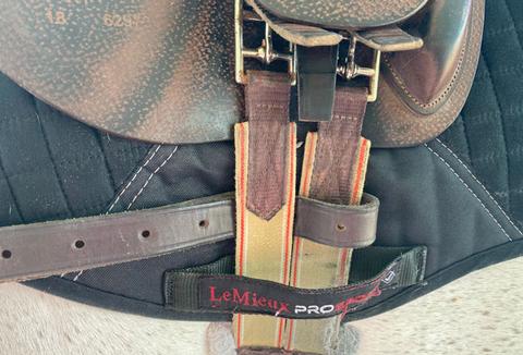 How to Buckle Side Reins for Your Horse