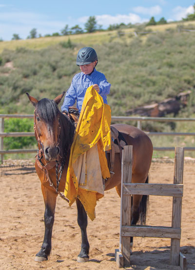 Introduce Your Horse to Rain Slicker / Jacket / Gear