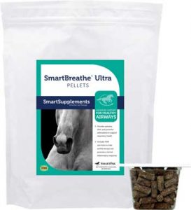 September 2020 SmartPak SmartTip of the Month: Supplements for Equine Respiratory Health