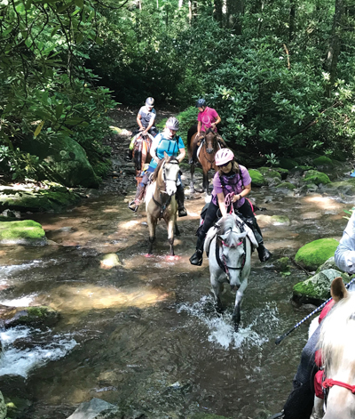 Great Smoky Mountains National Park