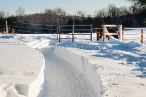 Snow path on horse farm