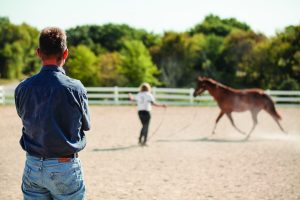 Horse in arena with people.