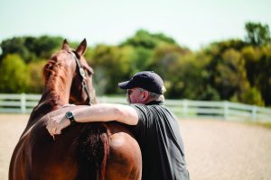 Rider inspecting horse.