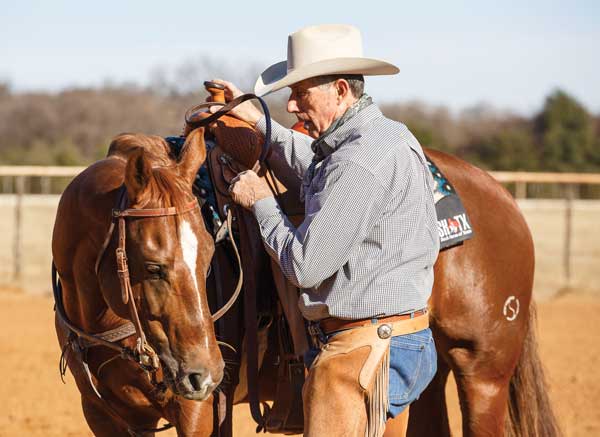 Developing a Soft Feel in a Horse