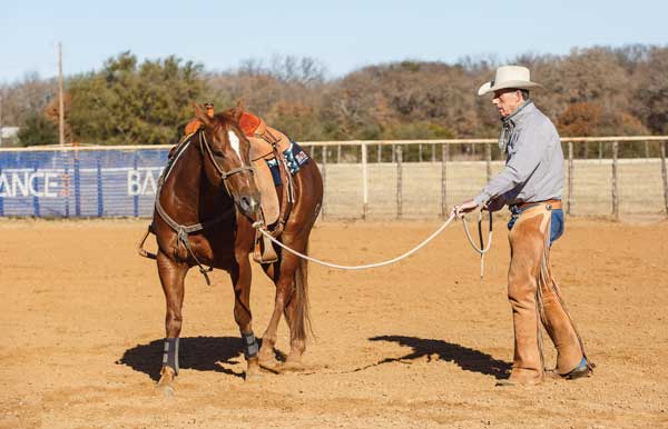 Western Training Longing