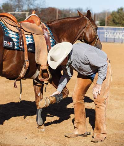 Lifting up a Hoof - Hoof Care