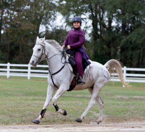 Sophia Carpentier and Perseveranze in the USEF Endurance National Championships