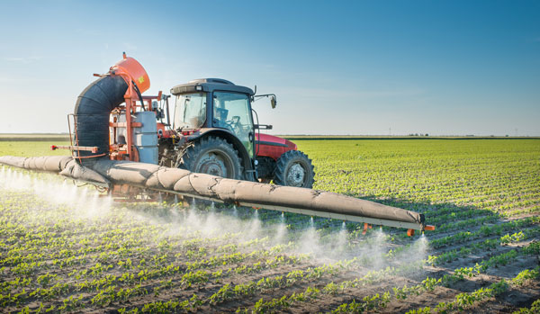 Spraying Pesticide on a Soybean Field