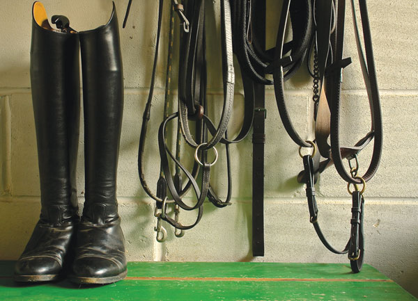 How to Clean Your Tack Locker - Tack Room