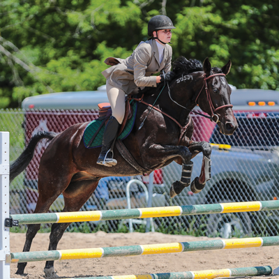 Jumping Horse