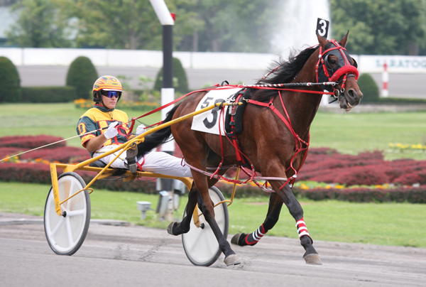 Standardbred Pacer