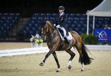 Steffen Peters and Suppenkasper at the U.S. Dressage Mandatory Observation Event