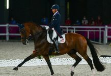 Steffen Peters and Suppenkasper, Grand Prix, Olympic Games Tokyo 2020