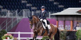 Steffen Peters and Suppenkasper at the Tokyo Olympics in the dressage Grand Prix qualifier.
