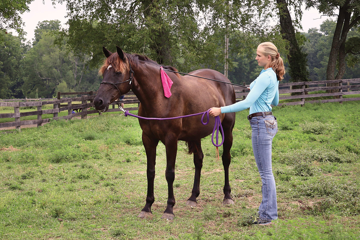 An equestrian working with a brown mare.