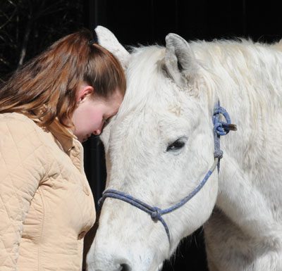 snotty nose sick horse - Strangles