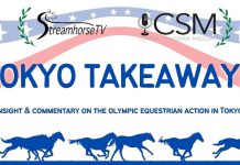 Streamhorse.TV Tokyo Takeaways